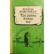 Marcinkus J. - Kur pūčiau beržinę tošį - 1994