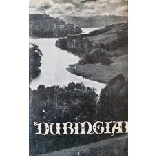 Dubingiai - 1971
