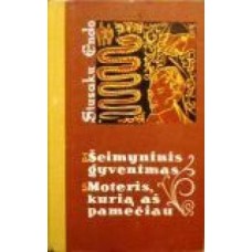 Endo S. - Šeimyninis gyvenimas. Moteris, kurią aš pamečiau - 1970