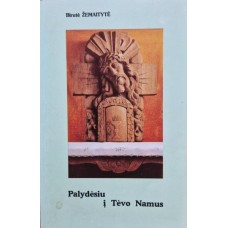 Žemaitytė B. - Palydėsiu į Tėvo namus. Gydytojos reanimatologės dienoraštis - 1996