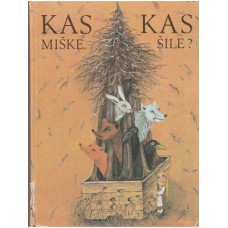 Kas miške, kas šile? Lietuvių liaudies pasakos apie našlaitę - 1990