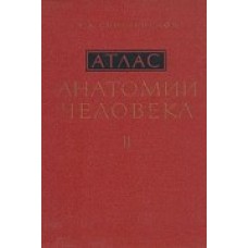 Синельников Р.Д. - Атлас анатомии человека (3 том) - 1974