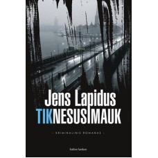 Lapidus J. - Tik nesusimauk - 2009