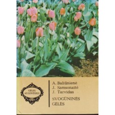 Baliūnienė A. ir kiti - Svogūninės gėlės - 1983