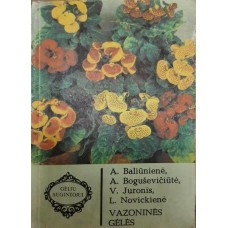 Baliūnienė A. ir kiti - Vazoninės gėlės - 1989