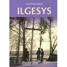 Andruškevičius A. - Administracinės teisės principai ir normų ribos - 2004