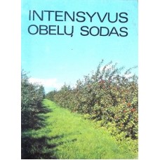 Kviklys A. - Intensyvus obelų sodas - 1988