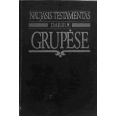 Naujasis testamentas darbui grupėse - 1998