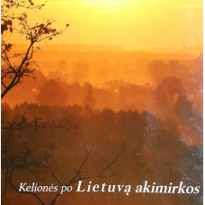 A. Kuliešis - Kelionės po Lietuvą akimirkos - 2008